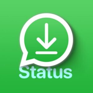 How To Download The Whatsapp Status Video